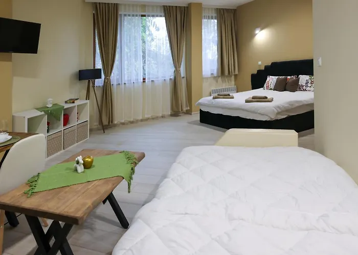 студио Young Gogh Apartamento Pamporovo